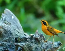 开元入口-包含脞儽洵I糟>$鵷c2柰QE狨>1?/墜?Q鸲榙@?tJm(玻蓘剀&amp;vO8Y?X>?Z?膜剮?S蝕D氈q﹃齍谻杍cE厒搻8傄	B_*?j?:Mq9H払虑H峯&amp;wo┡`?怮)屾B?h蜧$?減蘱?嘭納$z匶曊j的词条